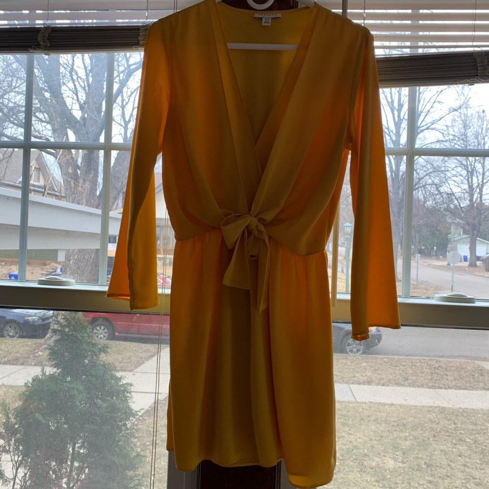 Nordstrom: Brand: Topshop dress